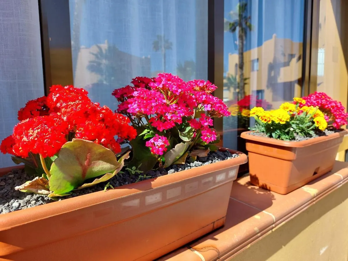 Apartamento Casa Ledù - Sunny Holiday in Fuerteventura Corralejo
